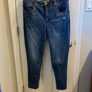 Democracy Dark Blue Ankle Jeans